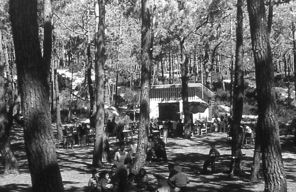 O início do Bambi Café